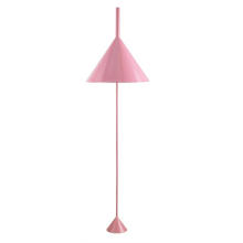 Decorative Metal Pink Home Goods Floor Lamps (ML20430-1-450)